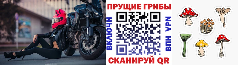 Галлюциногенные грибы мицелий  Ессентуки 